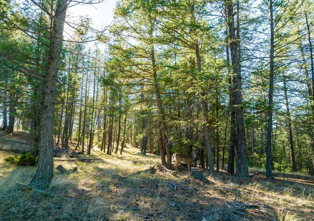 4th image of 262 Arbor Ln #Lot 24, Eureka, MT 59917 | MLS# 30025674