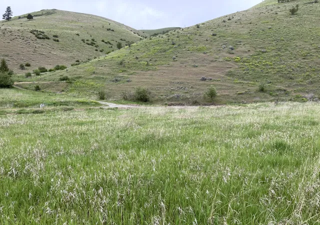 5th image of Lot 2 Miller Creek Rd, Missoula, MT 59803 | MLS# 30026306