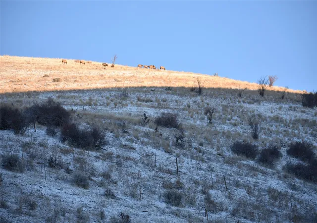 18th image of Lot 4 Miller Creek Rd, Missoula, MT 59803 | MLS# 30026692