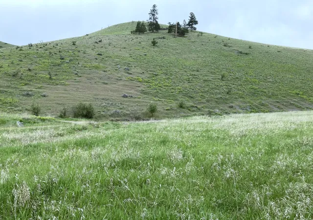4th image of Lot 4 Miller Creek Rd, Missoula, MT 59803 | MLS# 30026692