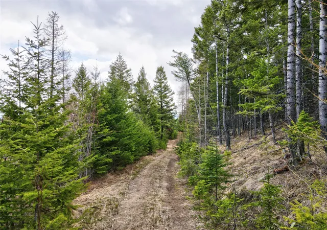 Homes for sale in Kalispell, MT | Tbd Emmons Canyon Rd, Kalispell, MT 59901 | MLS# 30026827