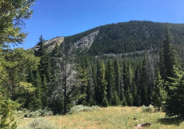 1st image of 216 Trapper Creek Rd, Dillon, MT 59725 | MLS# 30027631