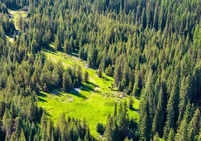 Homes for sale in Haugan, MT | Unk Packer Creek Rd, Haugan, MT 59842 | MLS# 30028550