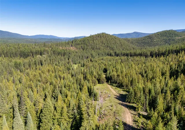 Homes for sale in Haugan, MT | Unk Packer Creek Rd, Haugan, MT 59842 | MLS# 30028550