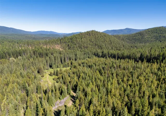 Homes for sale in Haugan, MT | Unk Packer Creek Rd, Haugan, MT 59842 | MLS# 30028550