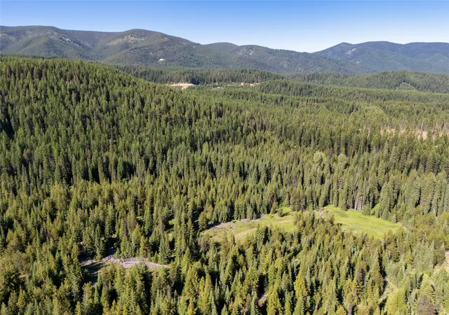Homes for sale in Haugan, MT | Unk Packer Creek Rd, Haugan, MT 59842 | MLS# 30028550