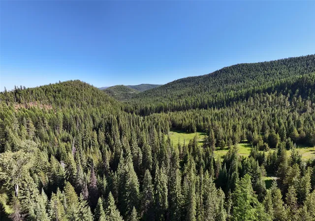 Homes for sale in Haugan, MT | Unk Packer Creek Rd, Haugan, MT 59842 | MLS# 30028550