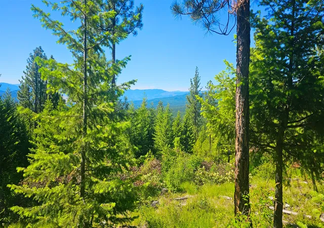 Photo 16 of Land for sale at Nhn Corona Rd Ranch, Plains, MT 59859 | MLS# 30029077 | Listing updated on 2026-07-01