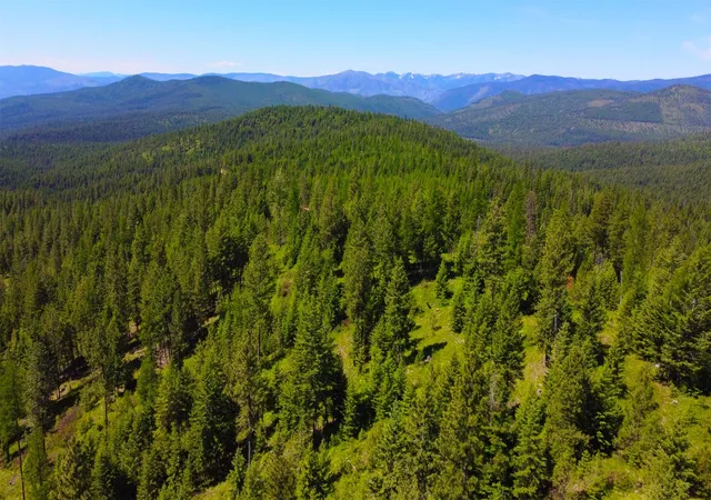 Photo 1 of Land for sale at Nhn Corona Rd Ranch, Plains, MT 59859 | MLS# 30029077 | Listing updated on 2026-07-01