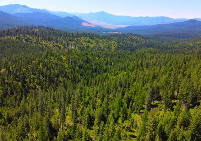 Photo 2 of Land for sale at Nhn Corona Rd Ranch, Plains, MT 59859 | MLS# 30029077 | Listing updated on 2026-07-01