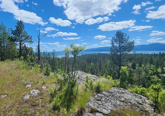 5th image of 486 Hogue Dr, Bigfork, MT 59911 | MLS# 30029159