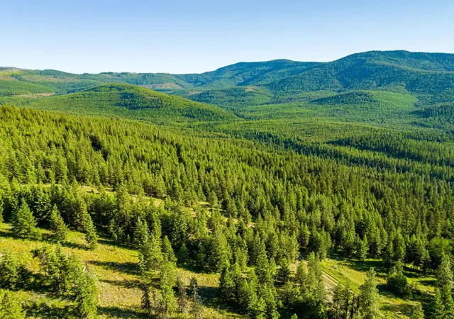 2nd image of 467 Wolf Creek Rd, Libby, MT 59923 | MLS# 30028729