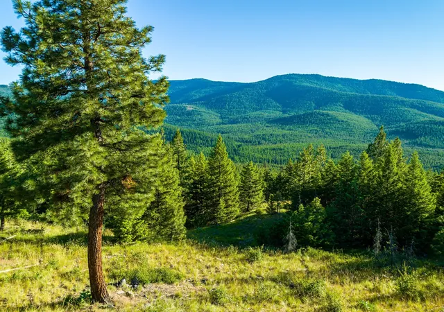 3rd image of 467 Wolf Creek Rd, Libby, MT 59923 | MLS# 30028729