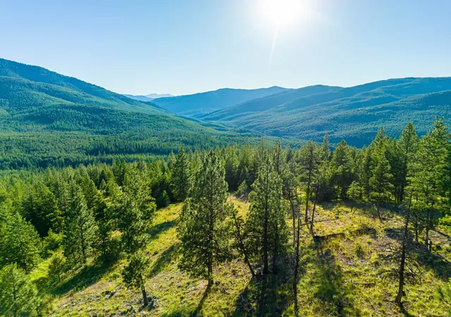 4th image of 467 Wolf Creek Rd, Libby, MT 59923 | MLS# 30028729