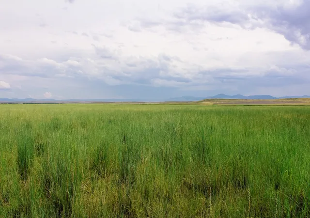 Photo 1 of Land for sale at Little Muddy Creek Ranch, Cascade, MT 59421 | MLS# 30029638 | Listing updated on 2026-06-21