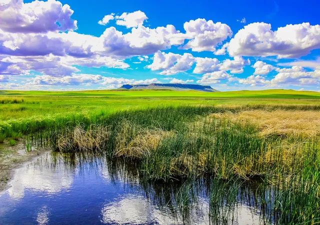 Photo 2 of Land for sale at Little Muddy Creek Ranch, Cascade, MT 59421 | MLS# 30029638 | Listing updated on 2026-06-21