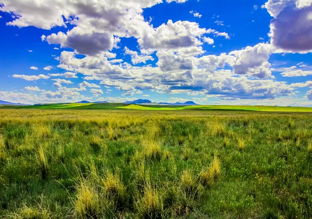 Photo 3 of House for sale at Little Muddy Creek Ranch, Cascade, MT 59421 | MLS# 30029638 | Listing updated on 2026-06-21
