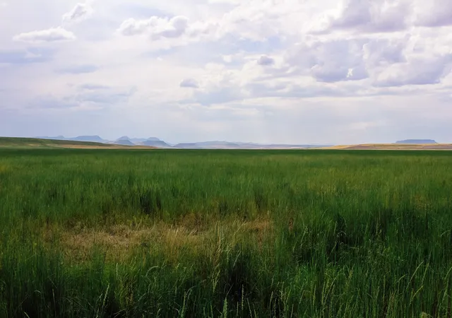 Photo 4 of House for sale at Little Muddy Creek Ranch, Cascade, MT 59421 | MLS# 30029638 | Listing updated on 2026-06-21