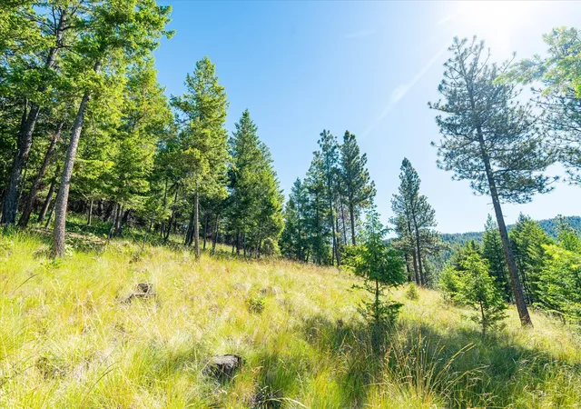 3rd image of 781 Springhill Rd, Kila, MT 59920 | MLS# 30029754