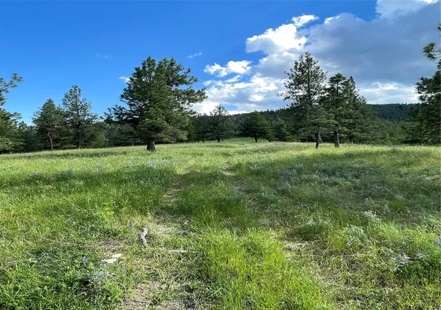 Photo 2 of Land for sale at 2434 Morning Dun Road   Lot 2 Road, Missoula, MT 59808 | MLS# 30030967 | Listing updated on 2026-07-08