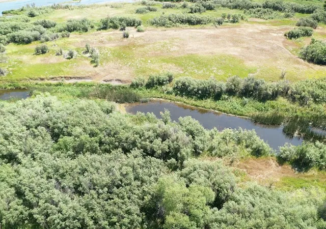12th image of Lot #2 Willow Bend, Cascade, MT 59421 | MLS# 30031388
