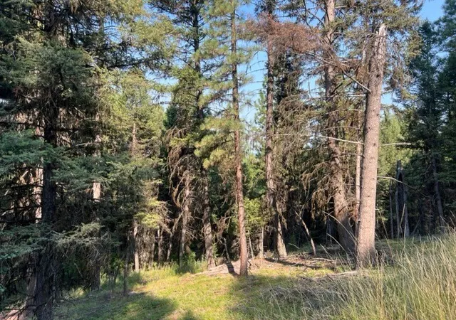 1st image of 433 Stage Coach Dr, Seeley Lake, MT 59868 | MLS# 30032498