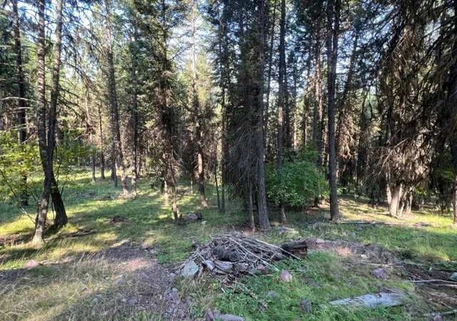3rd image of 433 Stage Coach Dr, Seeley Lake, MT 59868 | MLS# 30032498