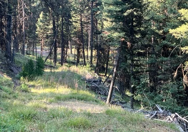4th image of 433 Stage Coach Dr, Seeley Lake, MT 59868 | MLS# 30032498