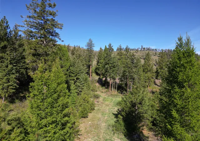 Photo 3 of Land for sale at Nhn Tract 1C E Fork Combest Creek Rd, Plains, MT 59859 | MLS# 30032608 | Listing updated on 2026-09-01