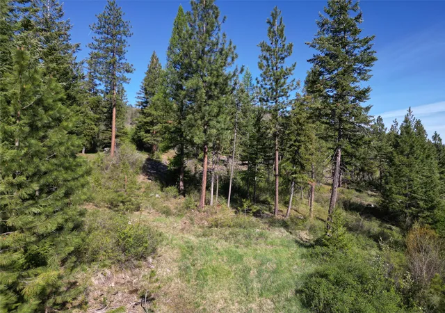 Photo 4 of Land for sale at Nhn Tract 1C E Fork Combest Creek Rd, Plains, MT 59859 | MLS# 30032608 | Listing updated on 2026-09-01