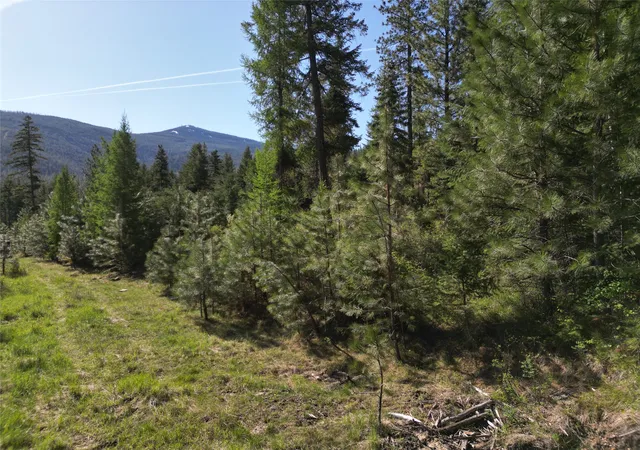 Photo 5 of Land for sale at Nhn Tract 1C E Fork Combest Creek Rd, Plains, MT 59859 | MLS# 30032608 | Listing updated on 2026-09-01