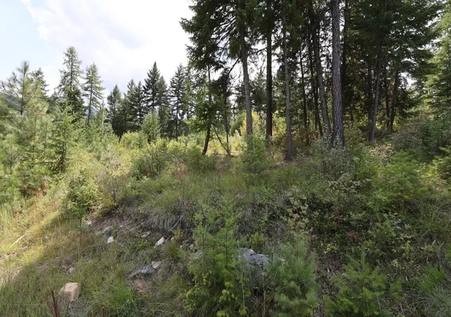 Photo 68 of Land for sale at Nhn Tract 1c E Fork Combest Creek Rd, Plains, MT 59859 | MLS# 30032608 | Listing updated on 2026-09-01