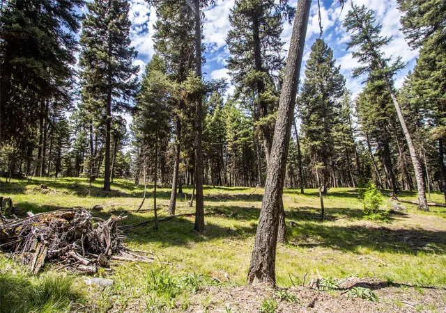 25th image of 643 & 589 Stagecoach Dr, Seeley Lake, MT 59868 | MLS# 30029669