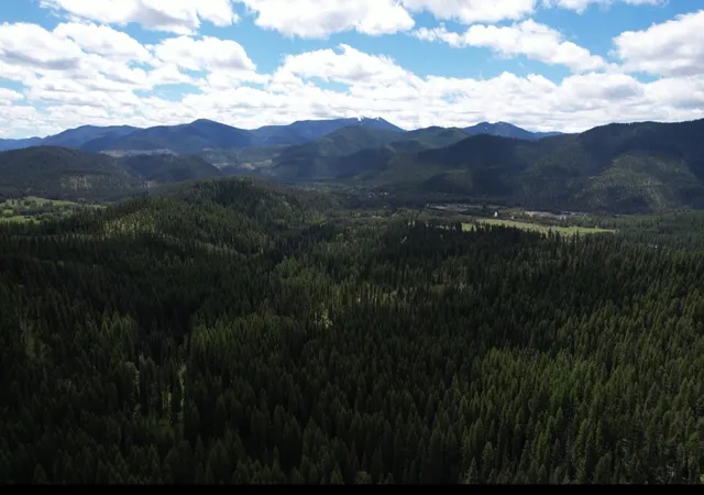 Homes for sale in Haugan, MT | 1876 Timber Creek Rd, Haugan, MT 59866 | MLS# 30034465