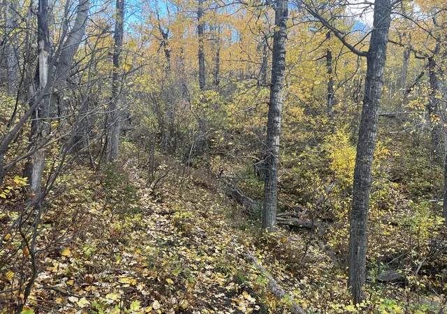 22nd image of Nhn Arlie Tracts   Lot 30, Babb, MT 59411 | MLS# 30034713