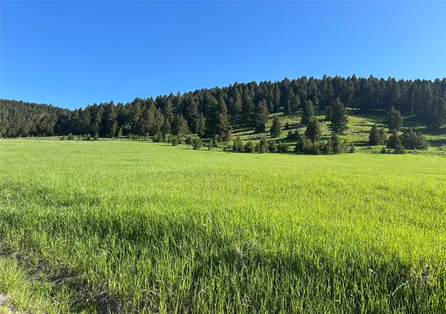 2nd image of Nhn Chestnut Rd, Bozeman, MT 59715 | MLS# 30034934