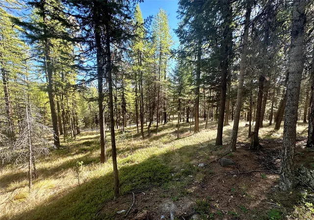 Homes for sale in Marion, MT | 000 Bhong Ln, Marion, MT 59925 | MLS# 30035090