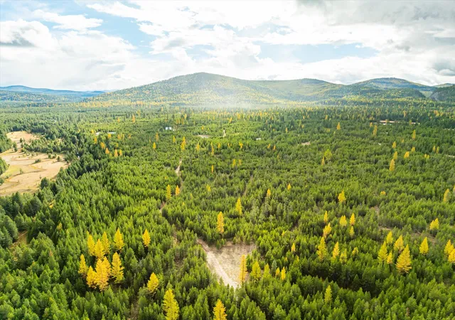 Photo 3 of Land for sale at 320 Lower Lost Prairie Rd, Marion, MT 59925 | MLS# 30035667 | Listing updated on 2026-07-01