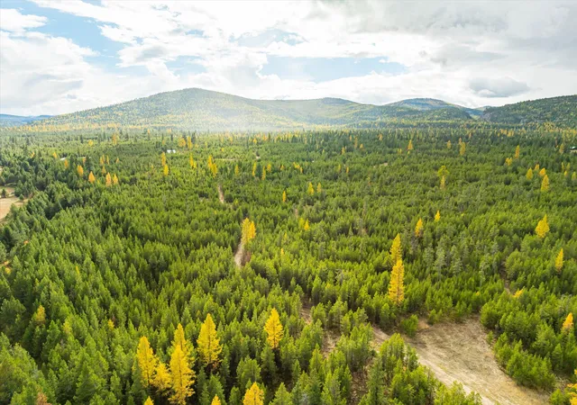 Photo 4 of Land for sale at 320 Lower Lost Prairie Rd, Marion, MT 59925 | MLS# 30035667 | Listing updated on 2026-07-01