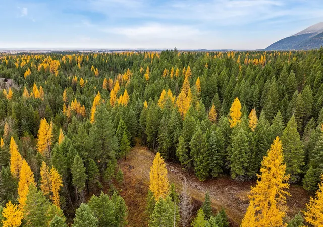Photo 1 of Land for sale at 199 E Many Lakes Dr, Kalispell, MT 59901 | MLS# 30036069 | Listing updated on 2026-07-01