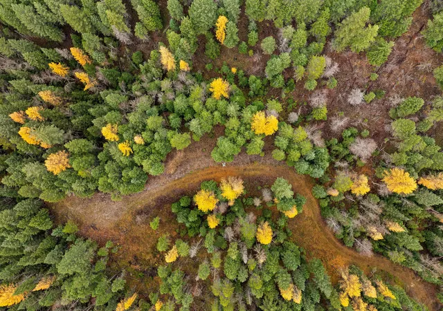 Photo 2 of Land for sale at 199 E Many Lakes Dr, Kalispell, MT 59901 | MLS# 30036069 | Listing updated on 2026-07-01