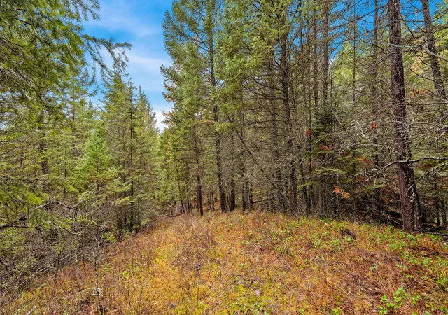 Photo 4 of Land for sale at 199 E Many Lakes Dr, Kalispell, MT 59901 | MLS# 30036069 | Listing updated on 2026-07-01
