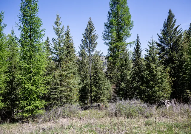 Homes for sale in Kila, MT | Nhn Open Sky Way, Kila, MT 59920 | MLS# 30036524