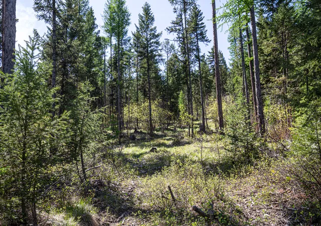 Photo 2 of Land for sale at Nhn Open Sky Way, Kila, MT 59920 | MLS# 30036524 | Listing updated on 2026-07-08