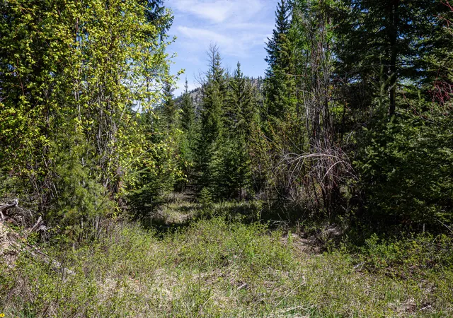 Photo 3 of Land for sale at Nhn Open Sky Way, Kila, MT 59920 | MLS# 30036524 | Listing updated on 2026-07-08