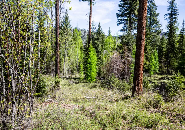 Photo 4 of Land for sale at Nhn Open Sky Way, Kila, MT 59920 | MLS# 30036524 | Listing updated on 2026-07-08