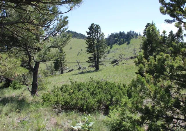 1st image of Tbd Black Canyon Ln, Cascade, MT 59421 | MLS# 30038005