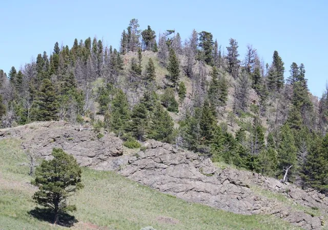 2nd image of Tbd Black Canyon Ln, Cascade, MT 59421 | MLS# 30038005