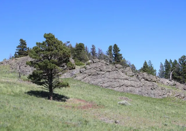 3rd image of Tbd Black Canyon Ln, Cascade, MT 59421 | MLS# 30038005