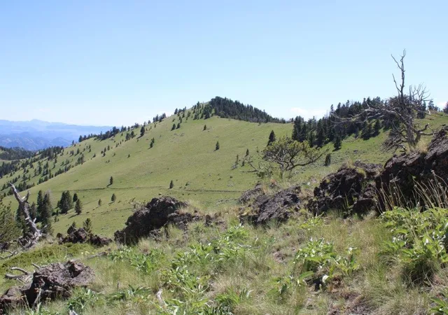 5th image of Tbd Black Canyon Ln, Cascade, MT 59421 | MLS# 30038005